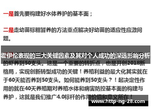 霍伊伦表现的三大关键因素及其对个人成功的深远影响分析
