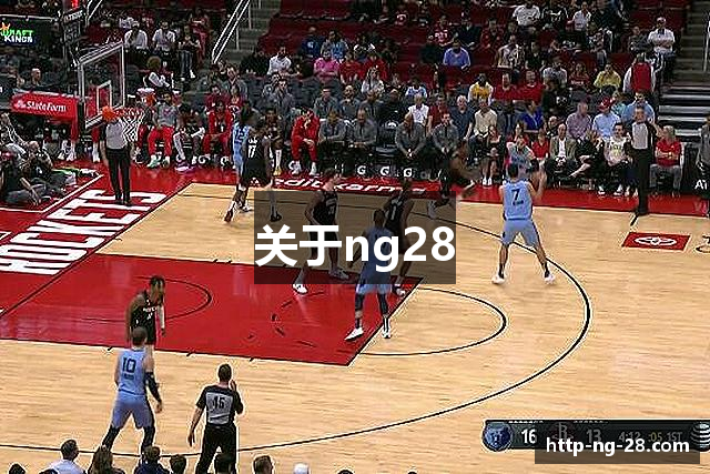 关于ng28