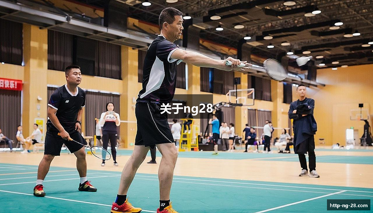 关于ng28